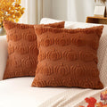 Artscope Fall Pillow Covers 18 x 18 Set of 2 Decorative Autumn Harvest Holiday Pumpkin Throw Pillow Cases Soft Plush Faux Fur Couch Cushion Case for Farmhouse Halloween Sofa Bed Room Home Decor-Rust