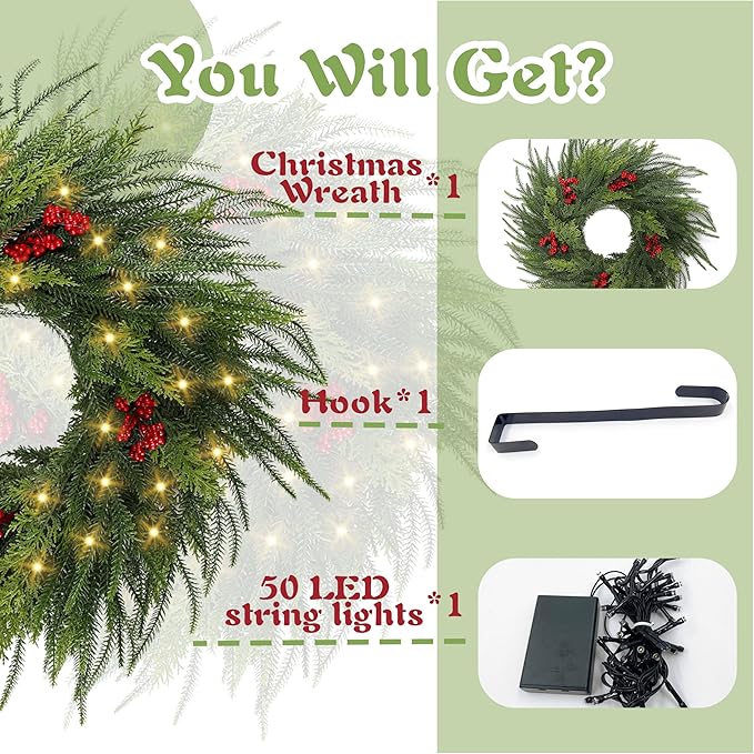 26'' Xmas Wreath with Lights,Large Norfolk Pine Wreaths with Red Berry and 50 LEDs, Battery Operated Christmas Reef with Timer for Door Window Winter Porch Decor